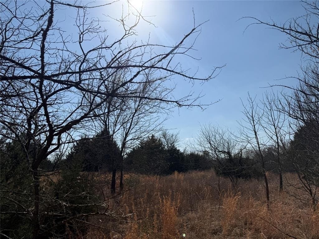 1.01 acres in Navarro County - photo 6