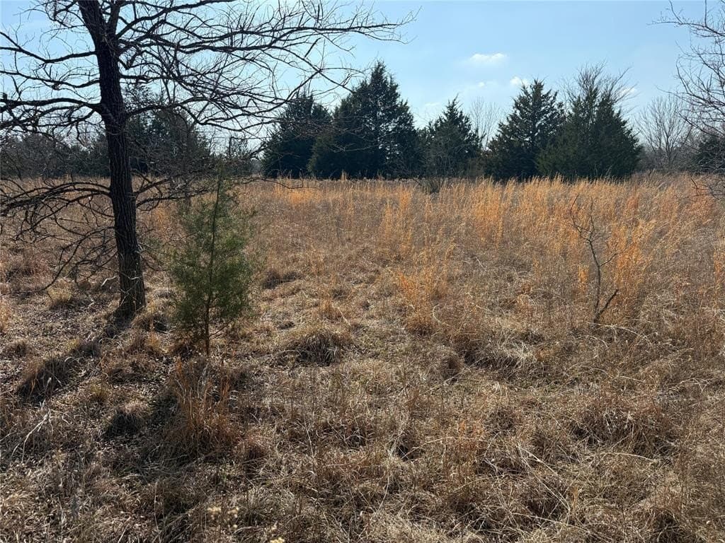 1.01 acres in Navarro County - photo 21