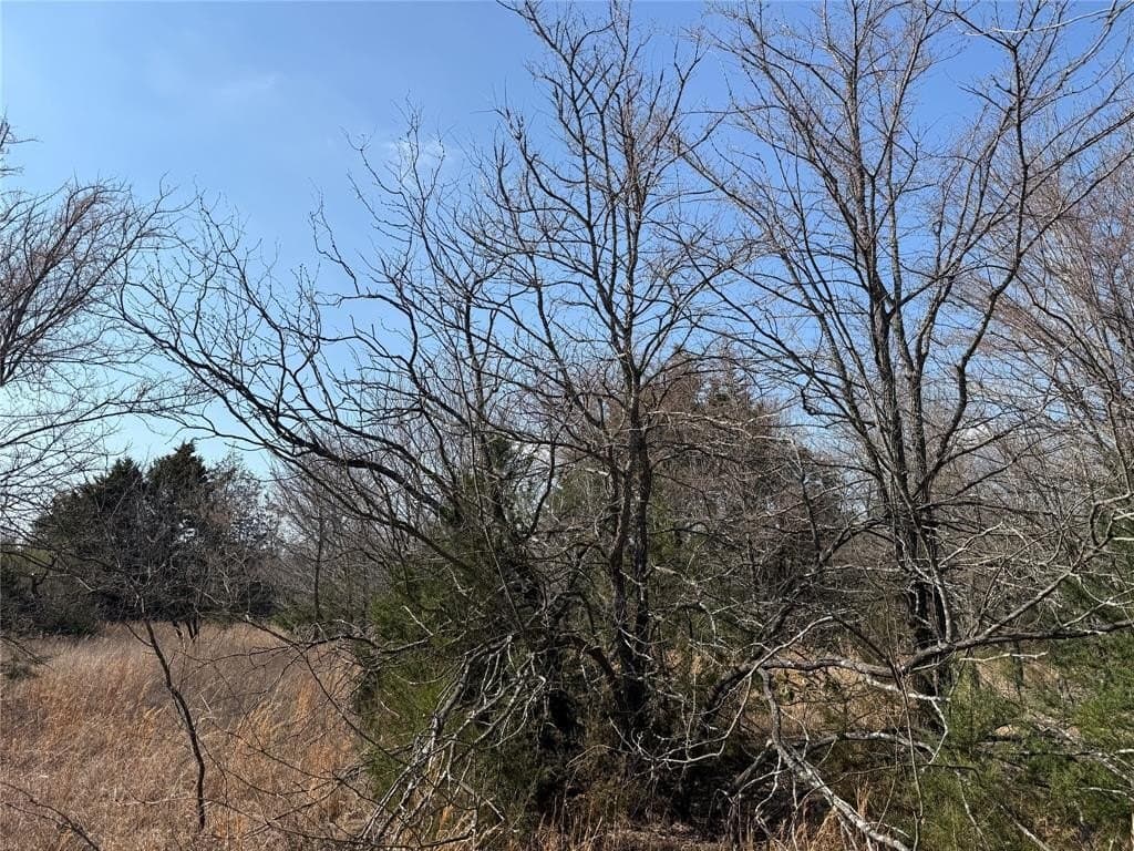 1.01 acres in Navarro County - photo 25