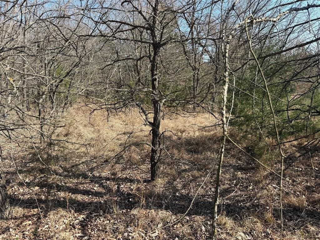 1.01 acres in Navarro County - photo 15