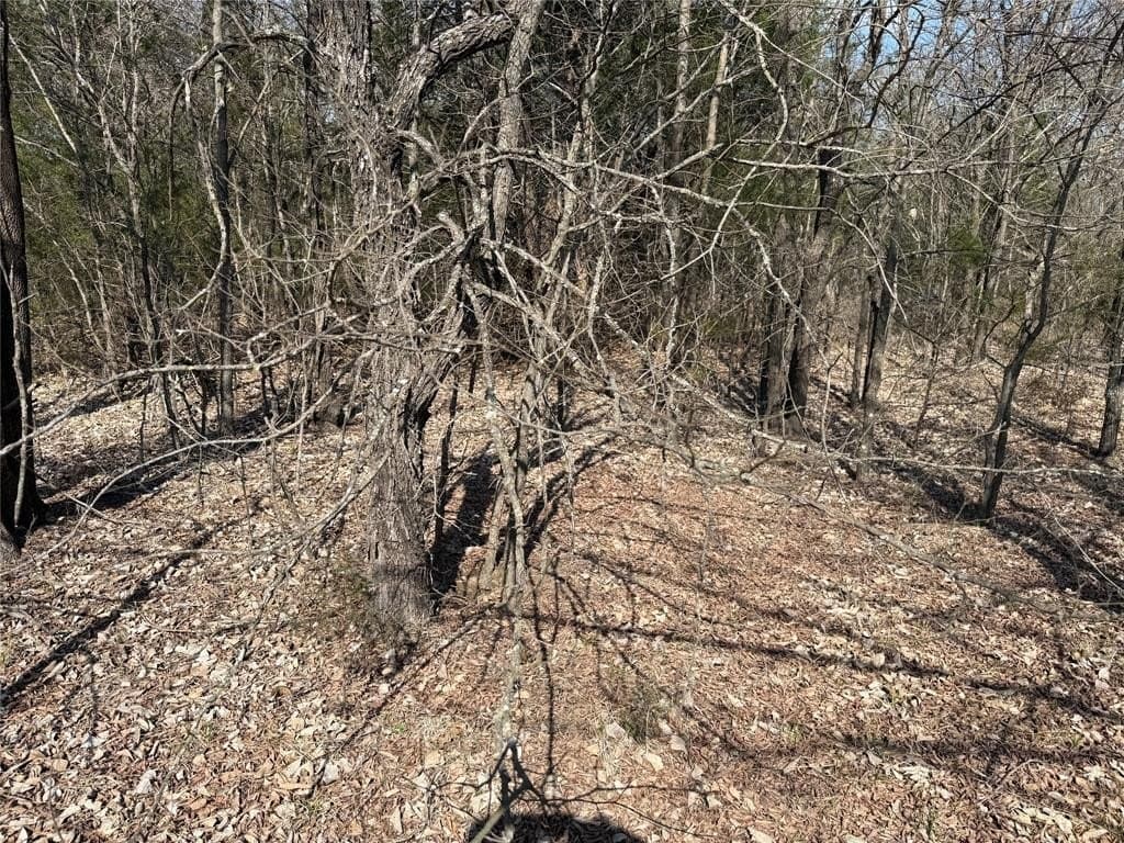1.01 acres in Navarro County - photo 14