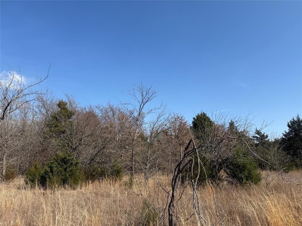 1.01 acres in Navarro County - photo 29