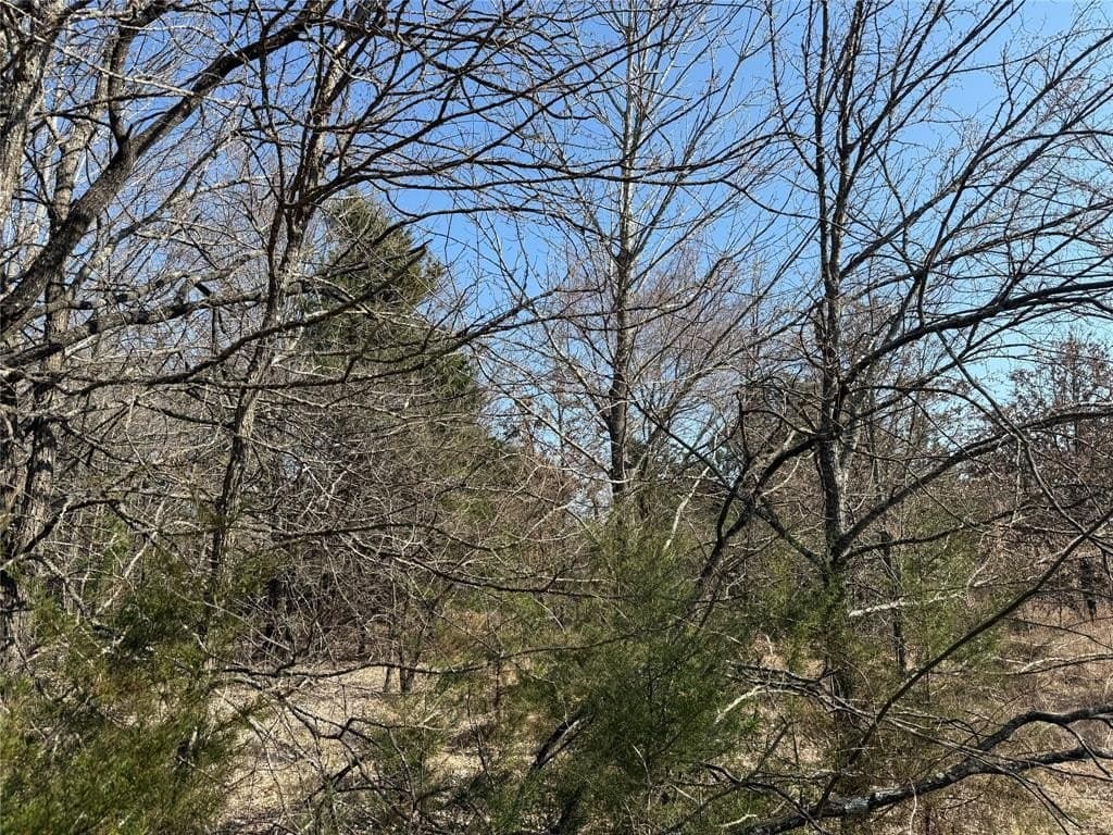 1.01 acres in Navarro County - photo 20