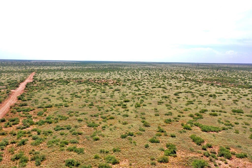 643 acres in Andrews County - photo 13