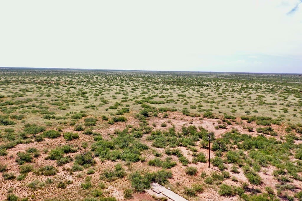 643 acres in Andrews County - photo 4