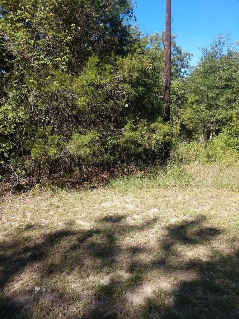 0.69 acres in Henderson County - photo 7
