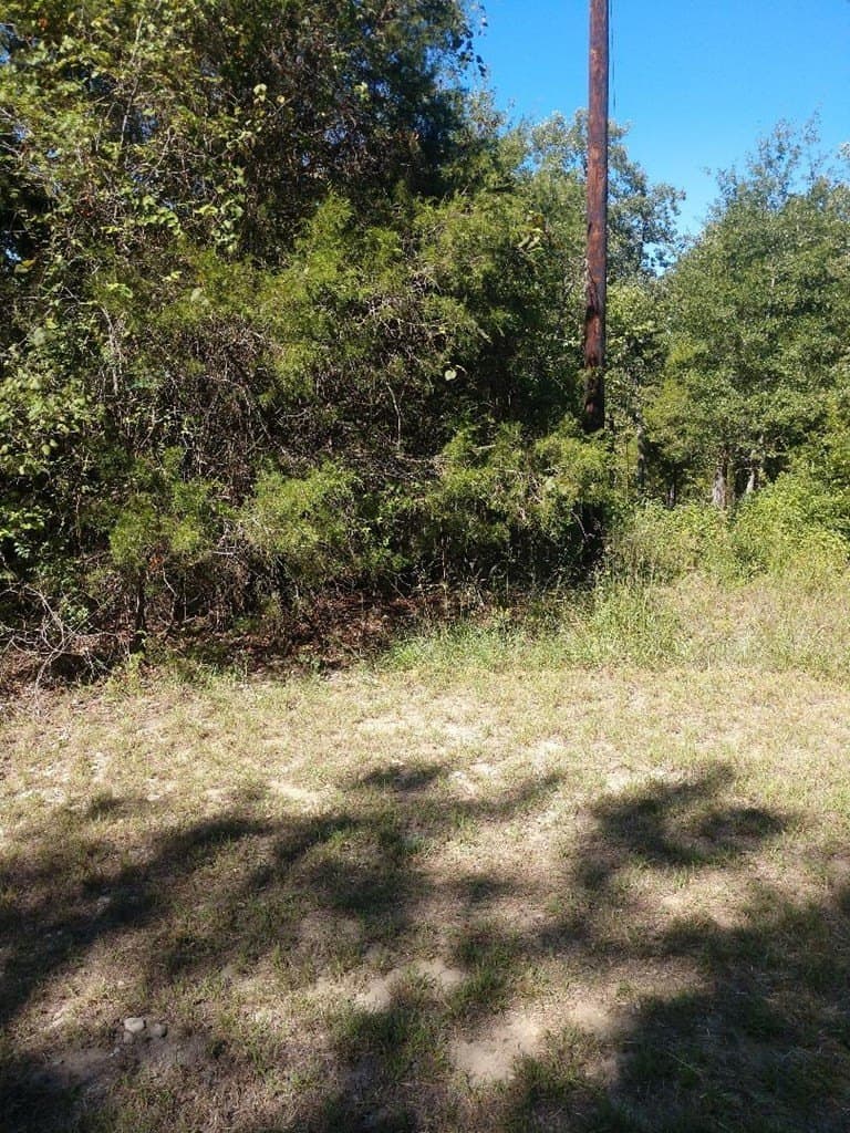 0.69 acres in Henderson County - photo 5