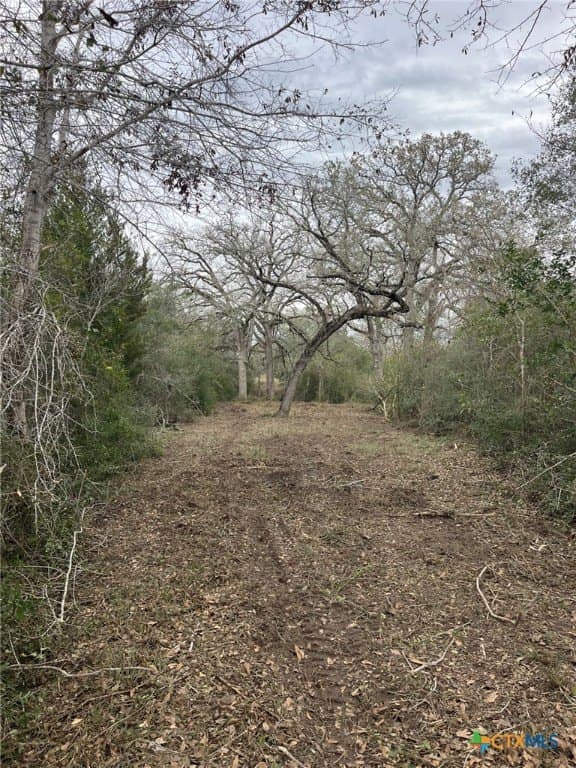 3.42 acres in Lavaca County - photo 5