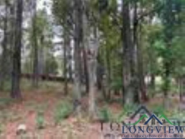 0.41 acres in Gregg County - photo 8