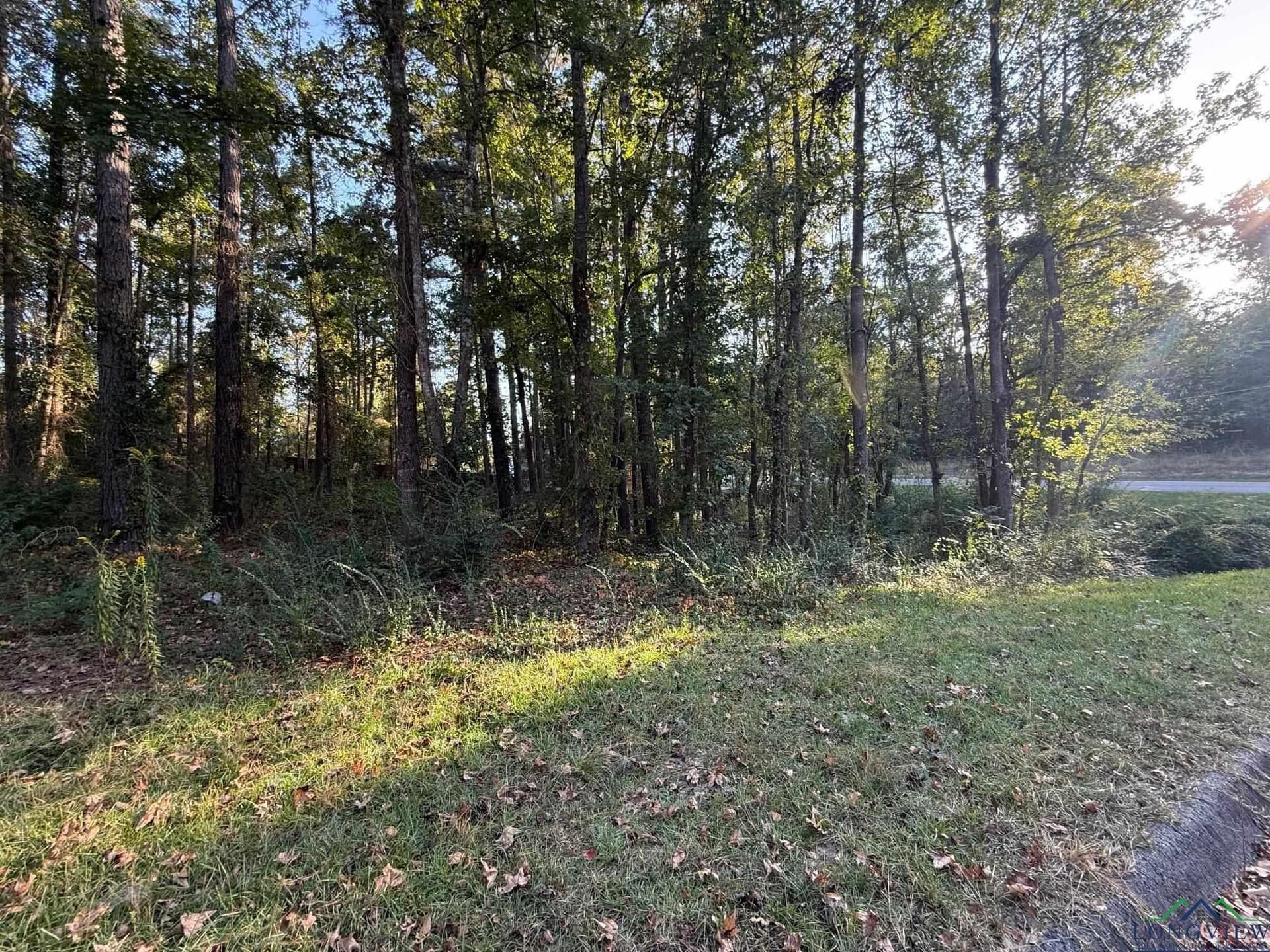 0.41 acres in Gregg County - photo 13