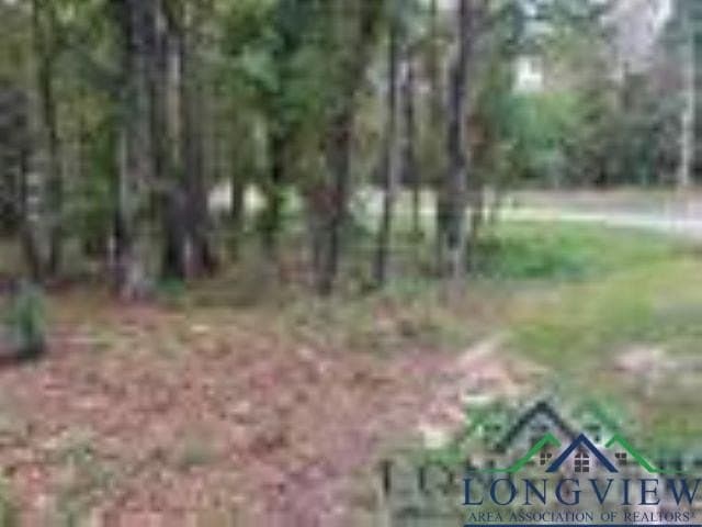 0.41 acres in Gregg County - photo 3