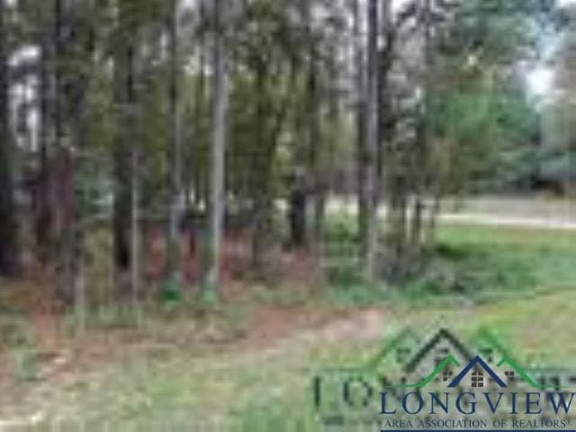 0.41 acres in Gregg County - photo 9