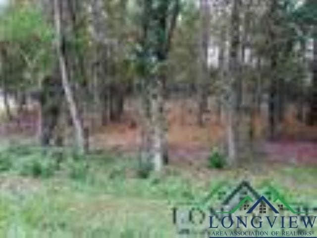 0.41 acres in Gregg County - photo 6