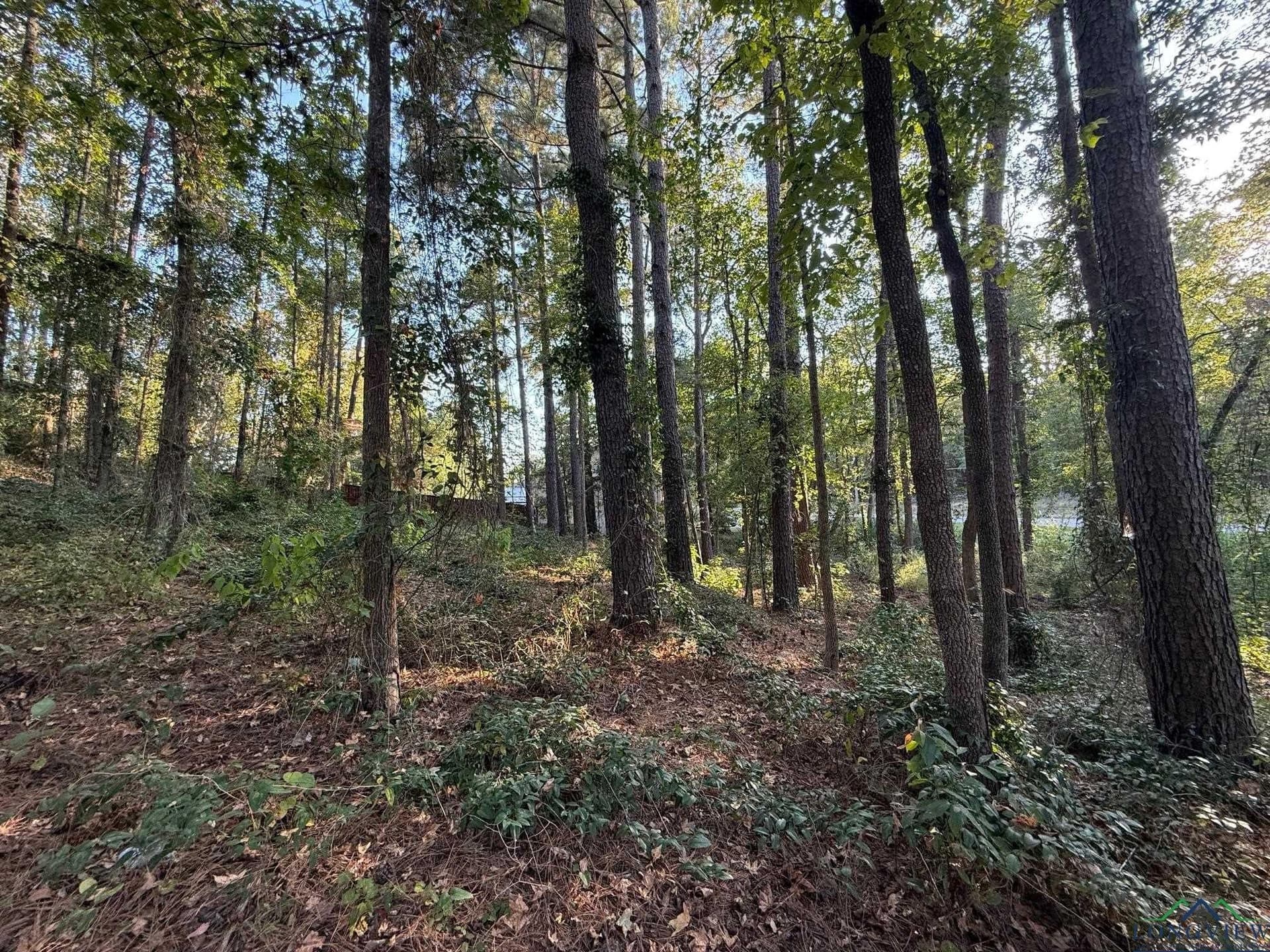 0.41 acres in Gregg County - photo 14