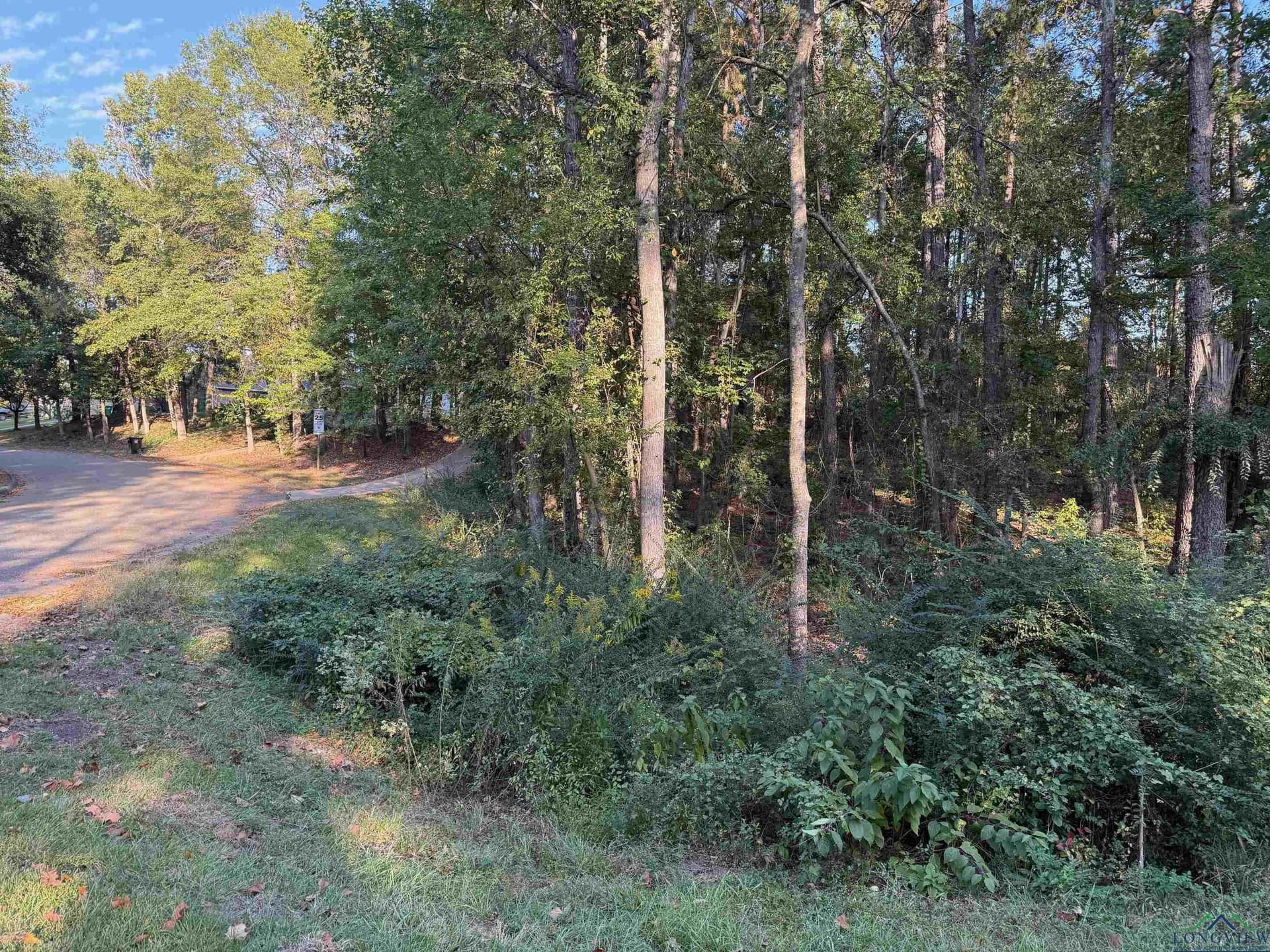 0.41 acres in Gregg County - photo 5