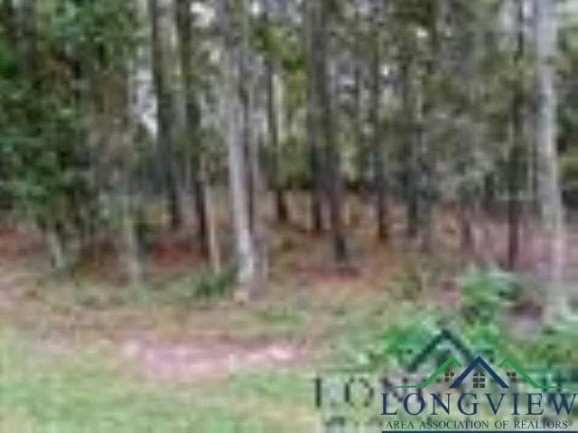 0.41 acres in Gregg County - photo 11