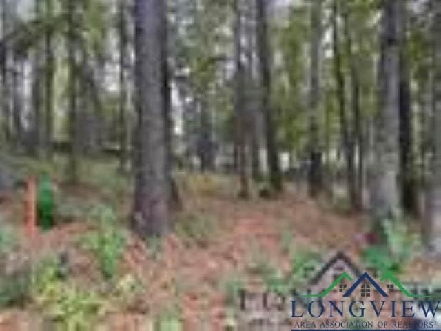 0.41 acres in Gregg County - photo 7