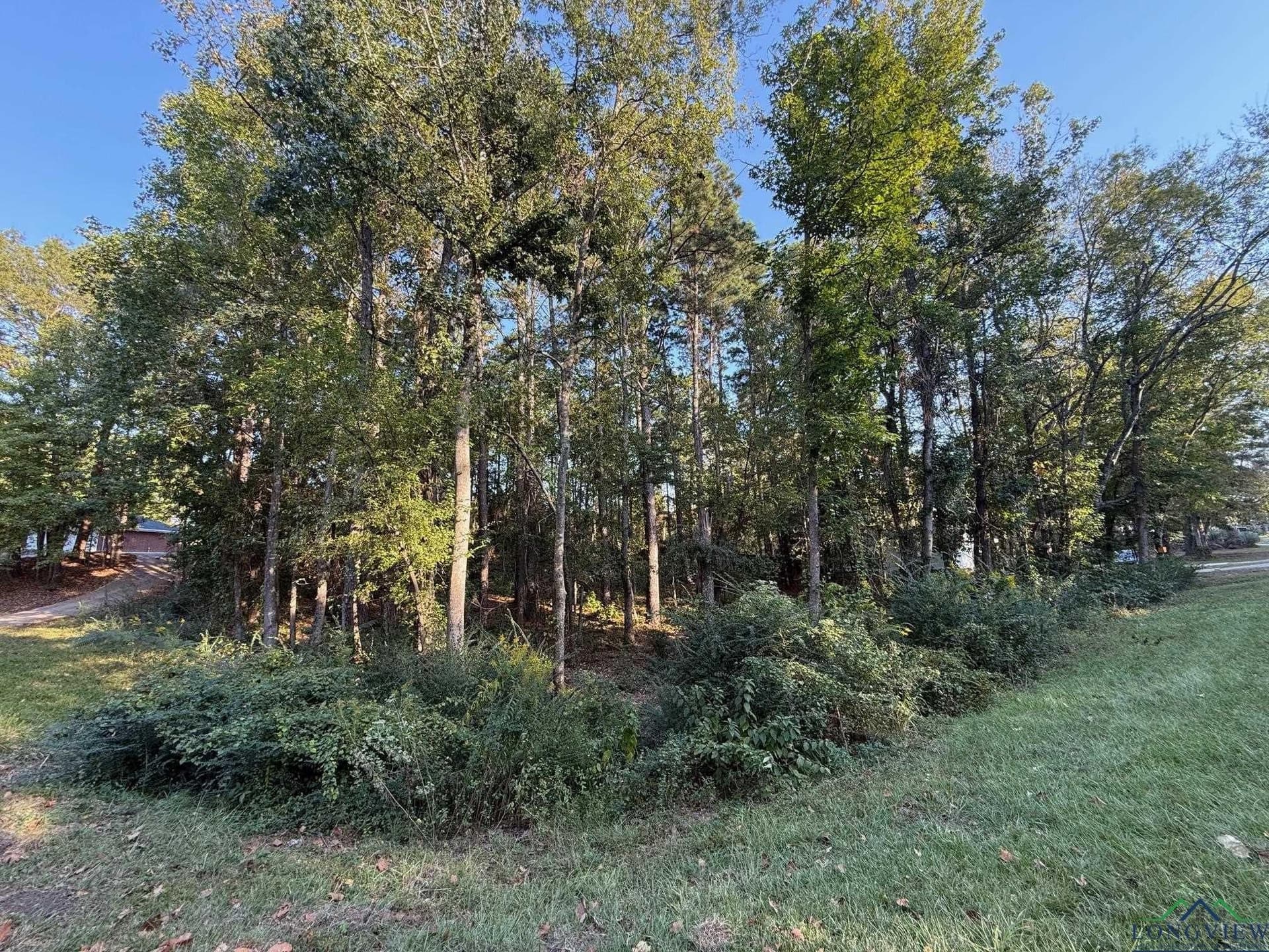 0.41 acres in Gregg County - photo 12