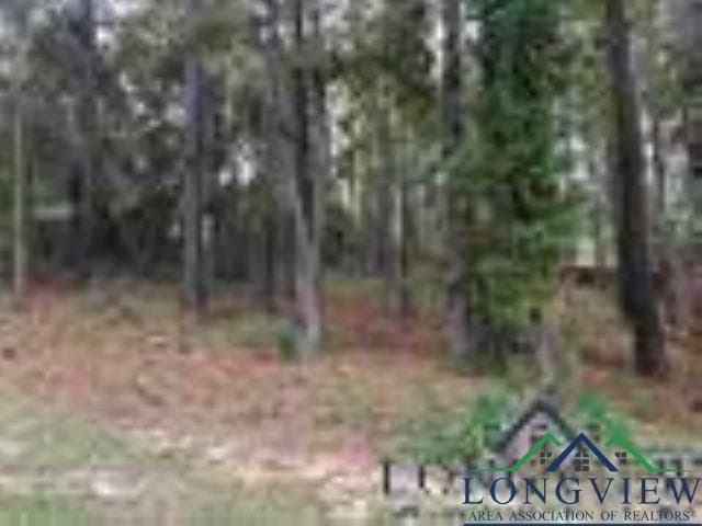 0.41 acres in Gregg County - photo 10