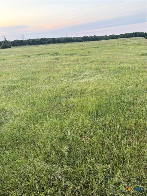16.14 acres in Robertson County - photo 13
