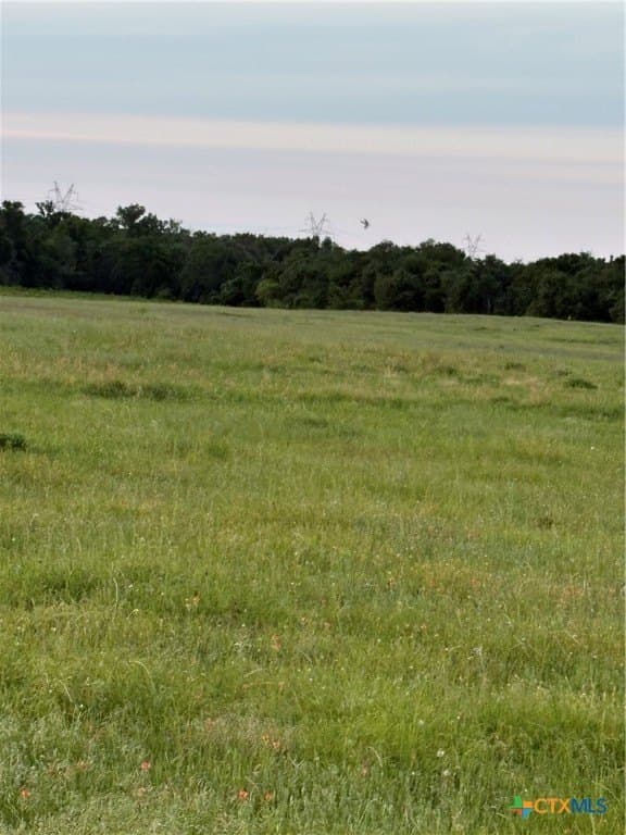 16.14 acres in Robertson County - photo 8