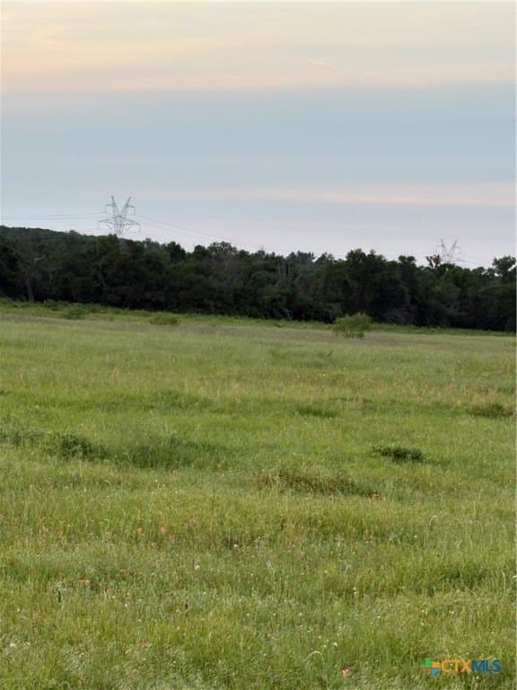16.14 acres in Robertson County - photo 7