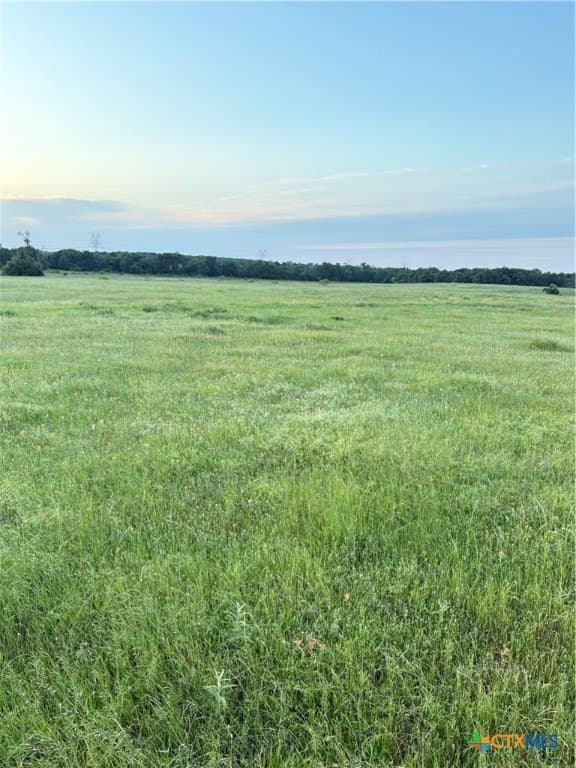 16.14 acres in Robertson County - photo 16