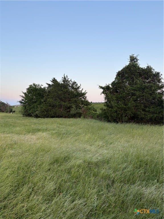 16.14 acres in Robertson County - photo 9