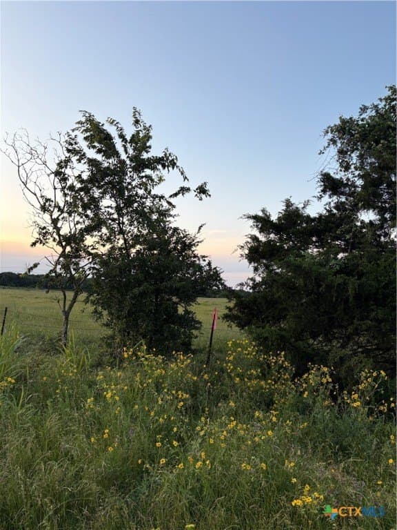 16.14 acres in Robertson County - photo 4