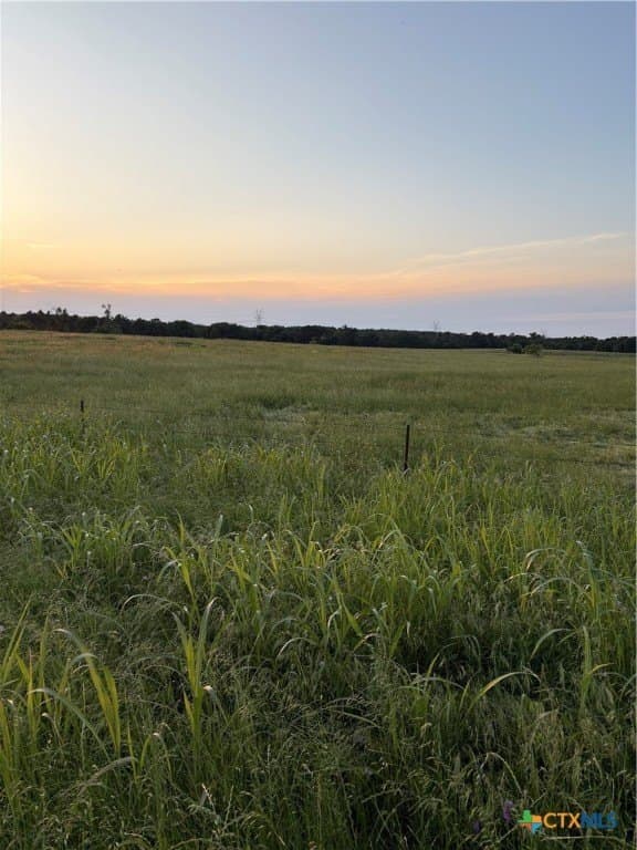 16.14 acres in Robertson County - photo 3