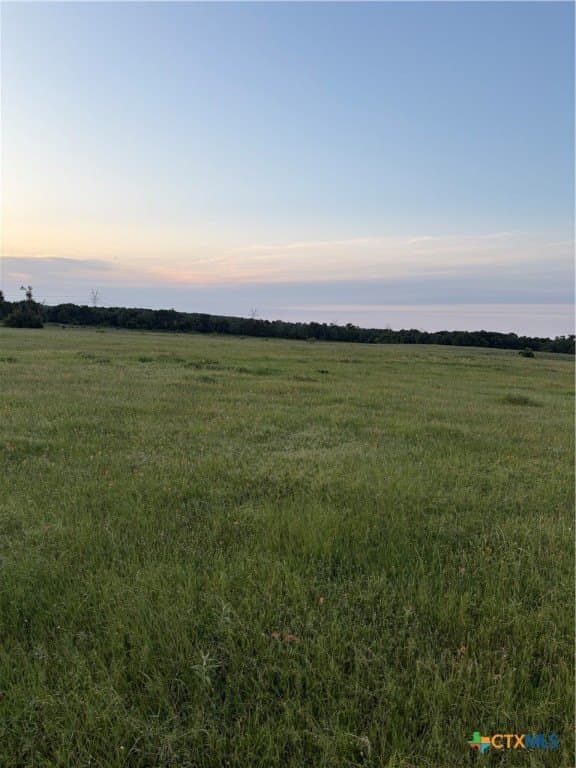 16.14 acres in Robertson County - photo 5