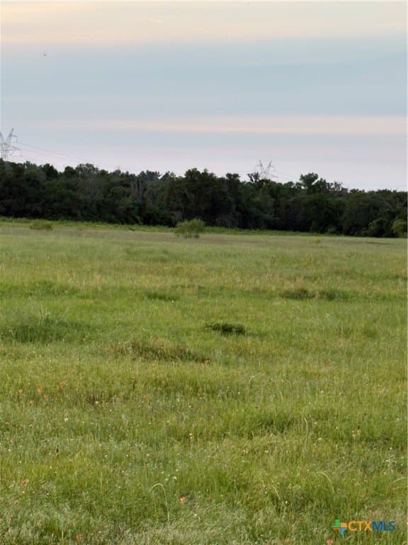 16.14 acres in Robertson County - photo 6