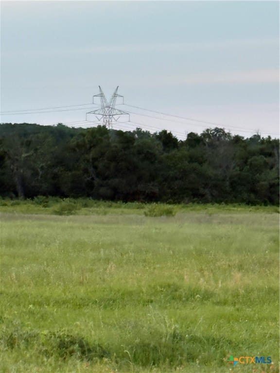 16.14 acres in Robertson County - photo 11
