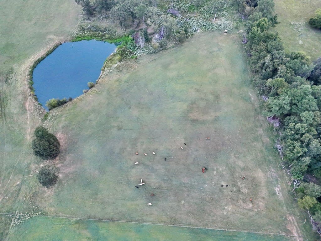 17.9 acres in ANDERSON County - photo 4