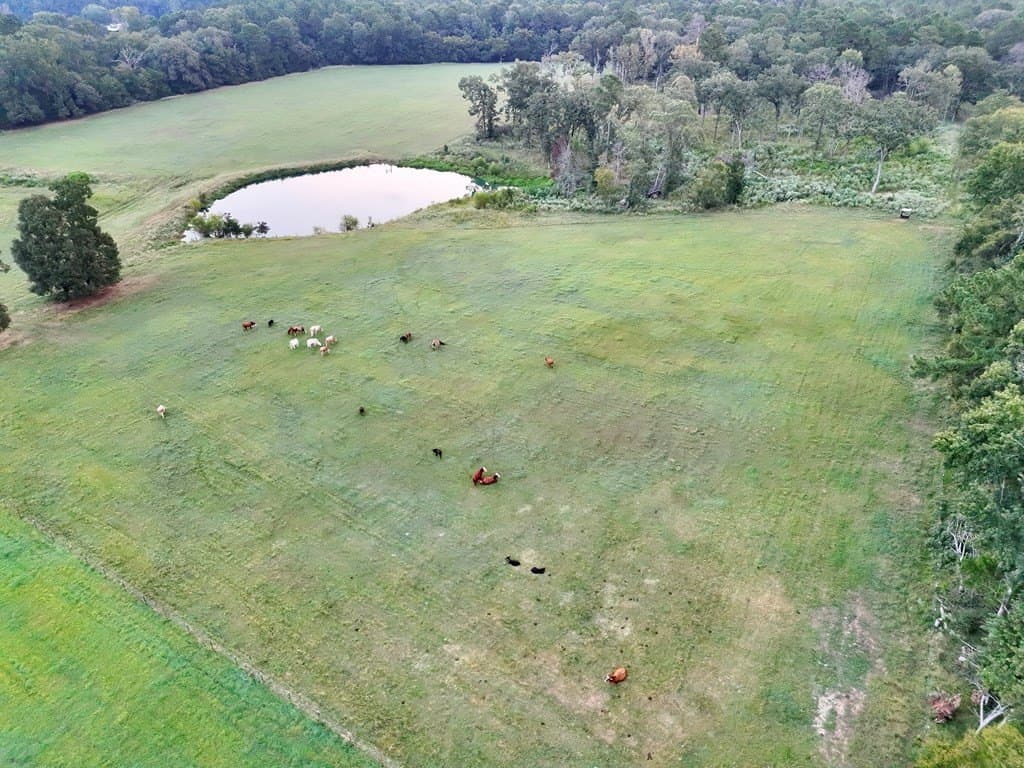 17.9 acres in ANDERSON County - photo 13