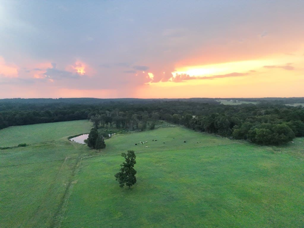17.9 acres in ANDERSON County - photo 5