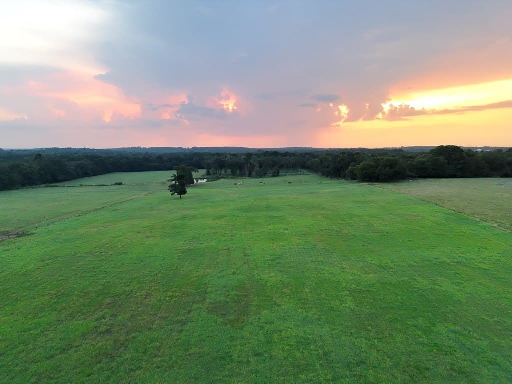 17.9 acres in ANDERSON County - photo 6