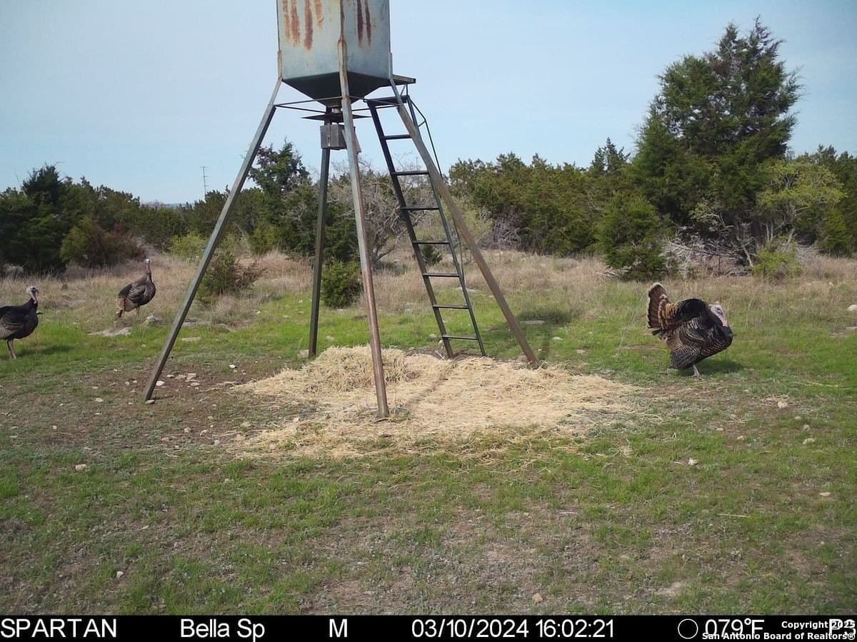 134 acres in Kendall County - photo 11