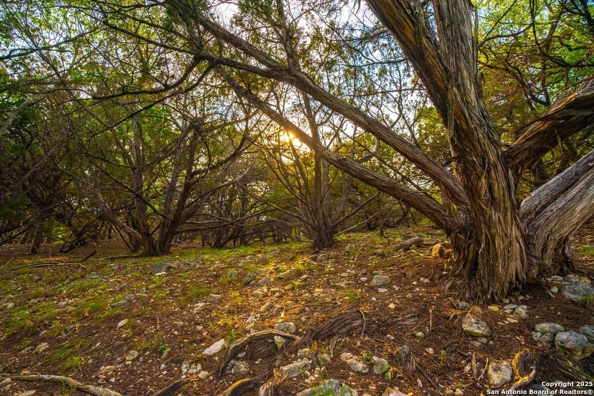 134 acres in Kendall County - photo 3
