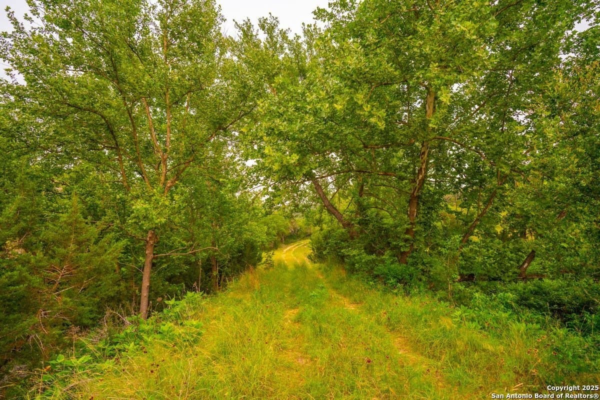 134 acres in Kendall County - photo 8