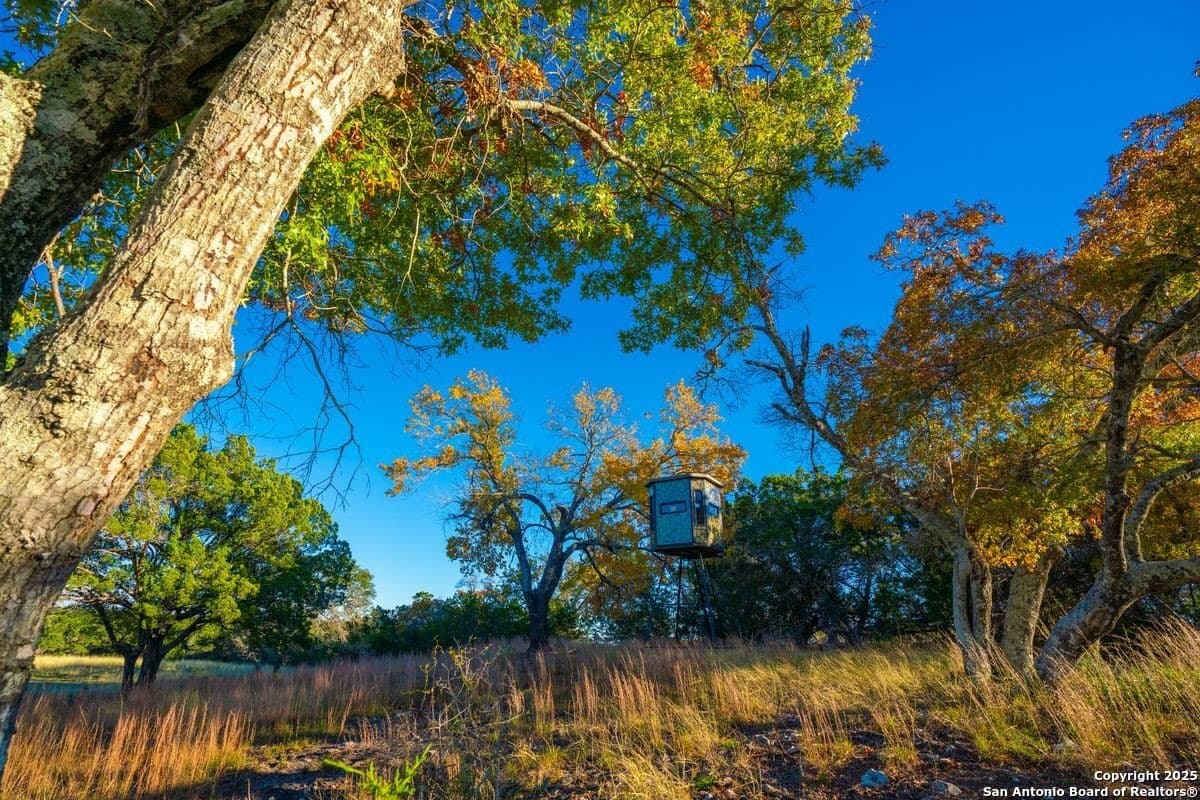 134 acres in Kendall County - photo 39