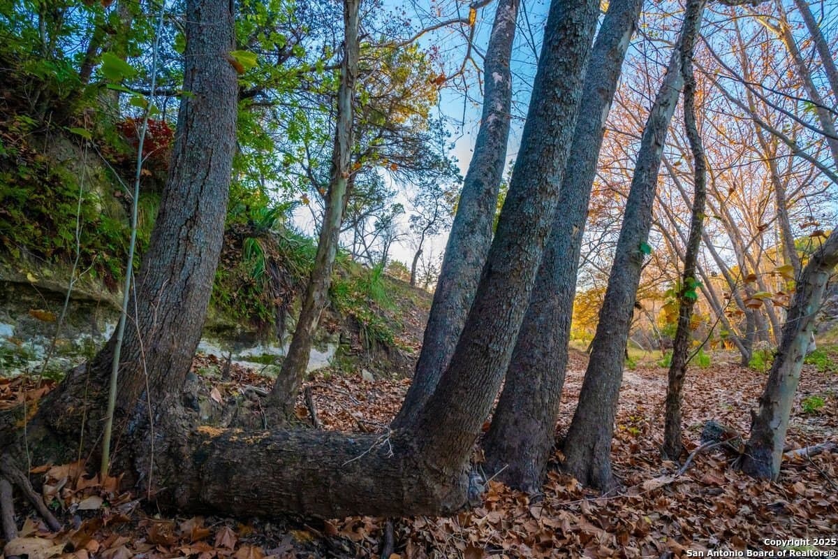 134 acres in Kendall County - photo 47