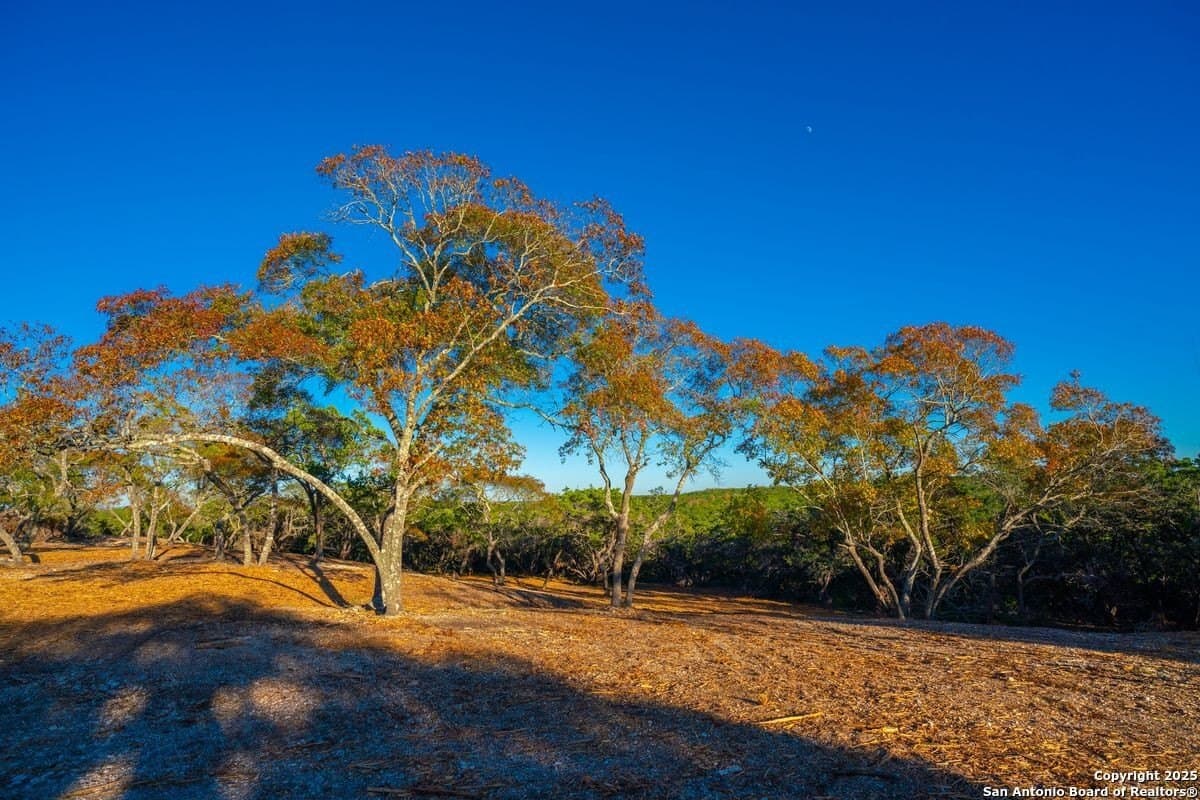 134 acres in Kendall County - photo 37