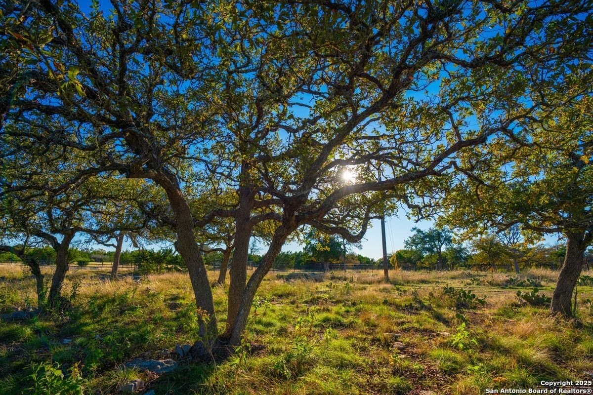 134 acres in Kendall County - photo 33