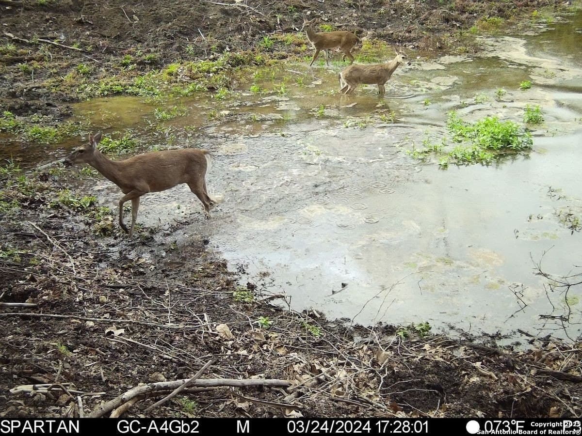 134 acres in Kendall County - photo 10