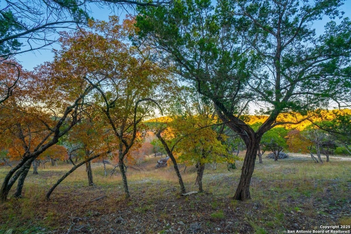 134 acres in Kendall County - photo 19