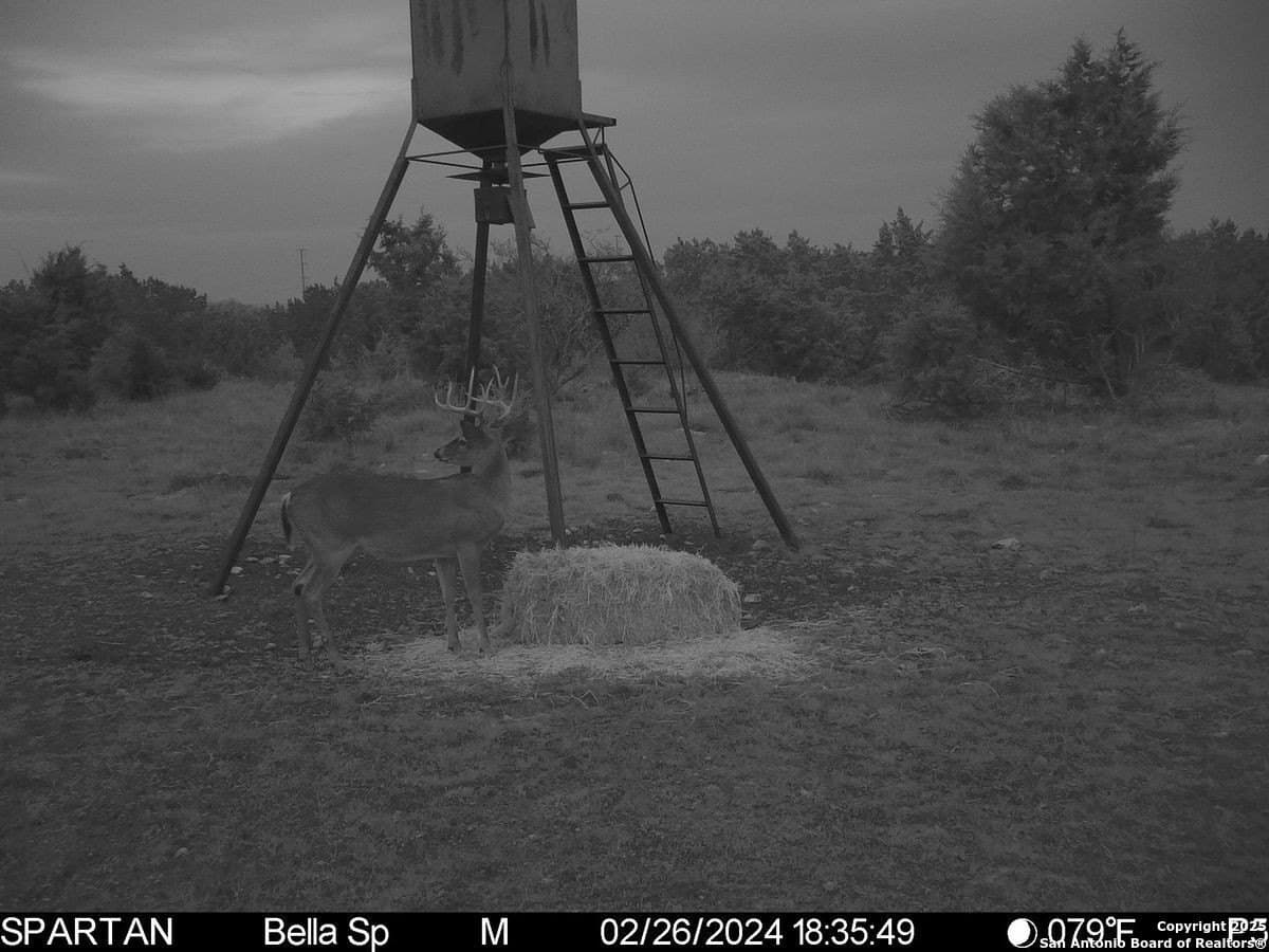 134 acres in Kendall County - photo 9