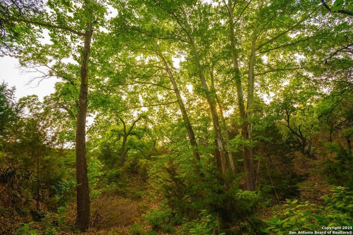 134 acres in Kendall County - photo 4