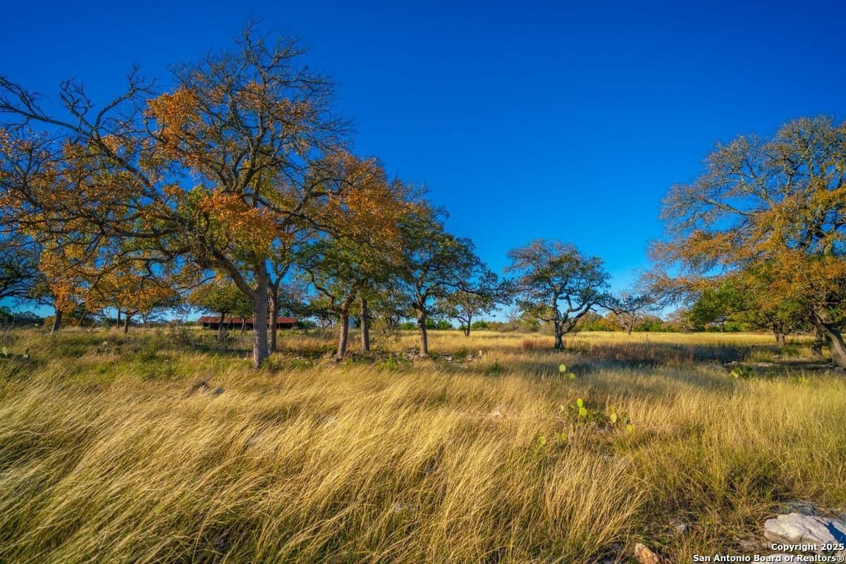 134 acres in Kendall County - photo 31