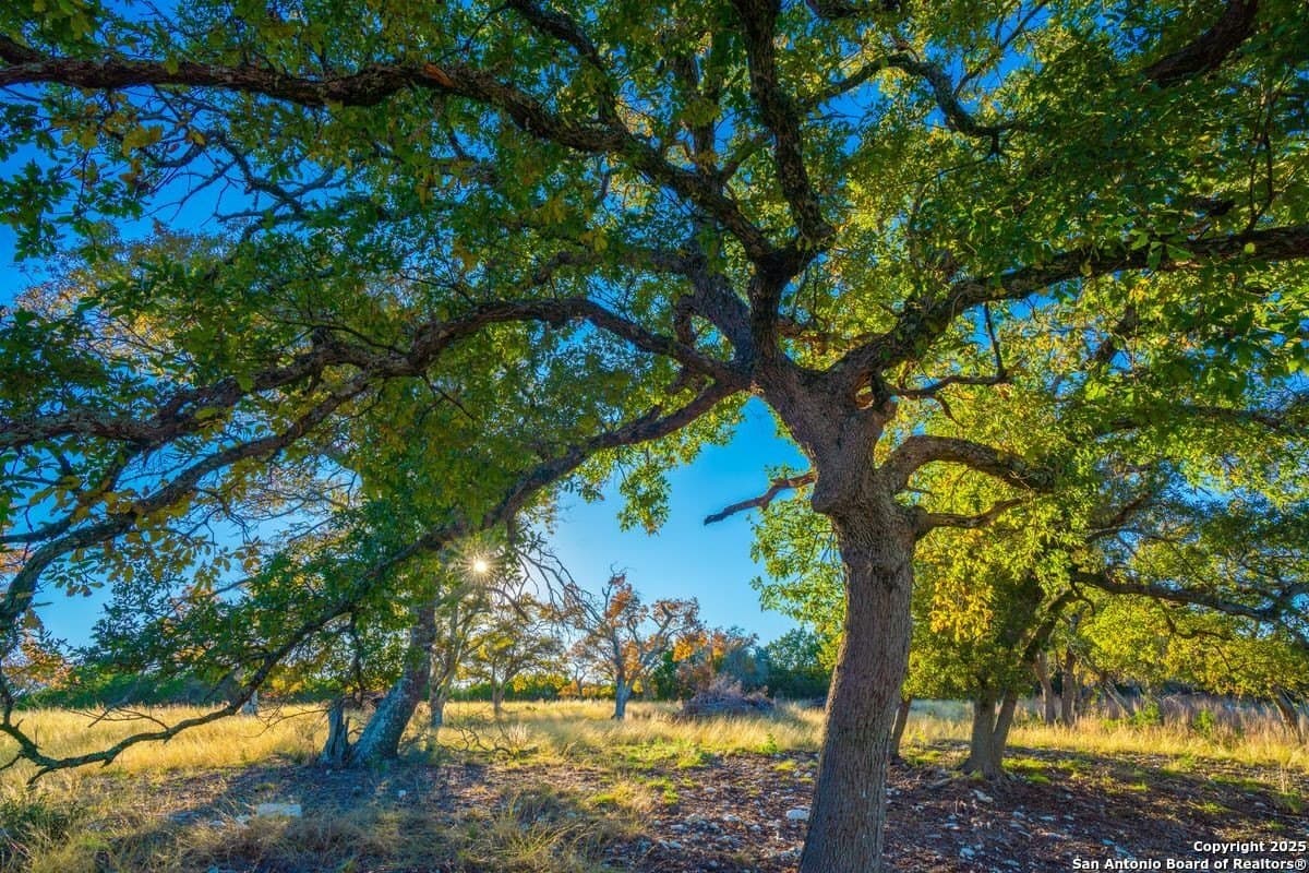 134 acres in Kendall County - photo 43